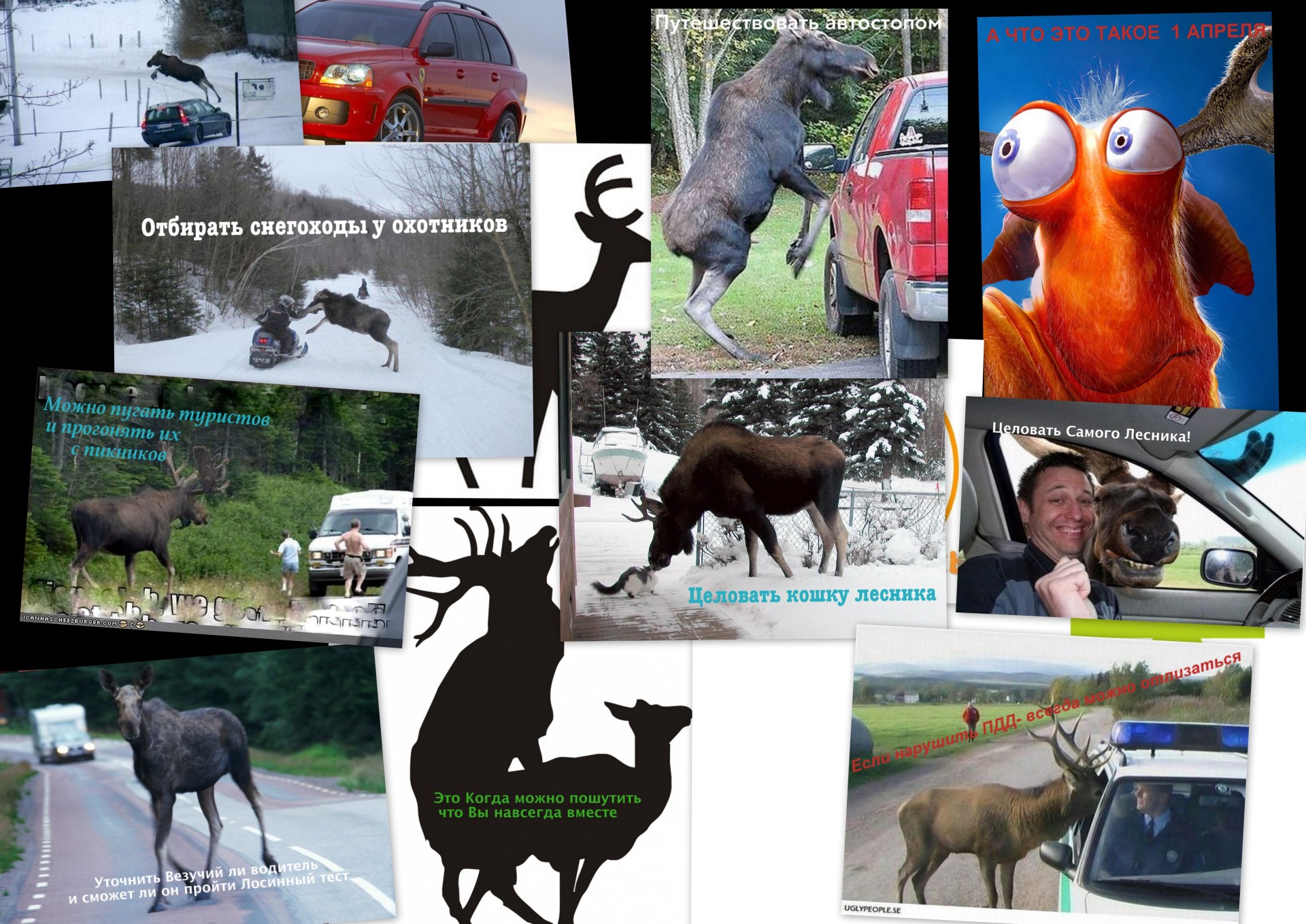 наклейка лось volvo 