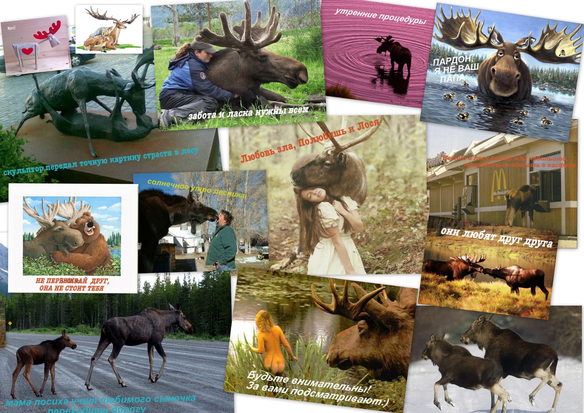 наклейки Вольво Лось купить